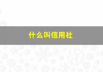 什么叫信用社