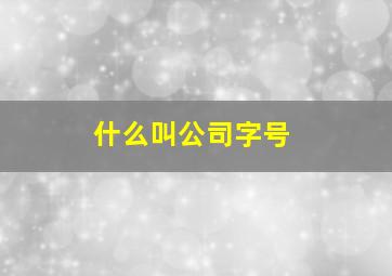 什么叫公司字号