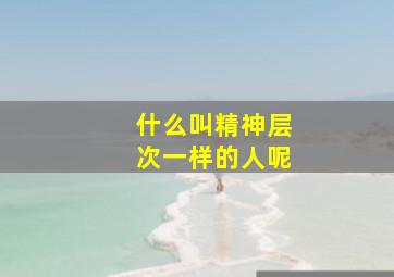 什么叫精神层次一样的人呢