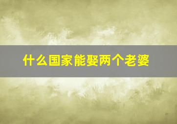 什么国家能娶两个老婆