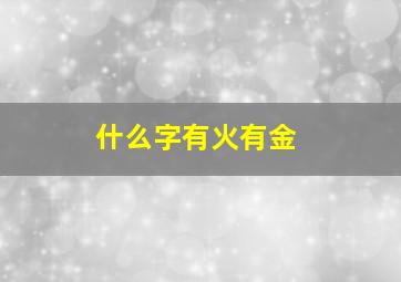 什么字有火有金