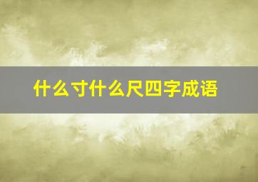 什么寸什么尺四字成语