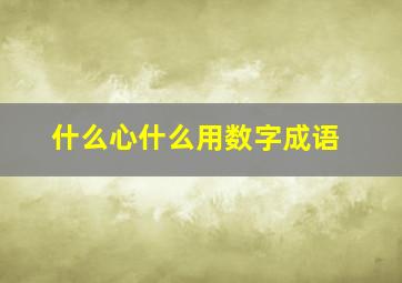 什么心什么用数字成语