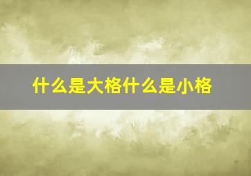 什么是大格什么是小格