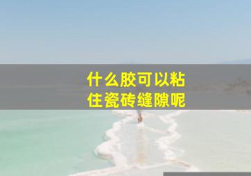 什么胶可以粘住瓷砖缝隙呢