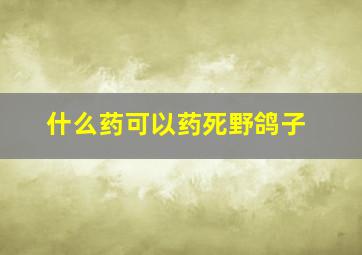 什么药可以药死野鸽子