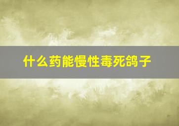 什么药能慢性毒死鸽子