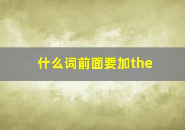 什么词前面要加the