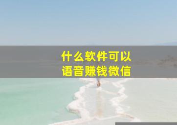 什么软件可以语音赚钱微信