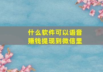 什么软件可以语音赚钱提现到微信里