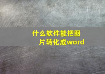 什么软件能把图片转化成word