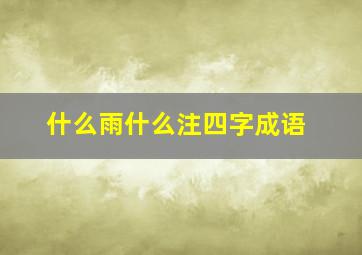 什么雨什么注四字成语