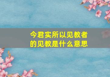 今君实所以见教者的见教是什么意思