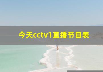 今天cctv1直播节目表