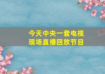 今天中央一套电视现场直播回放节目