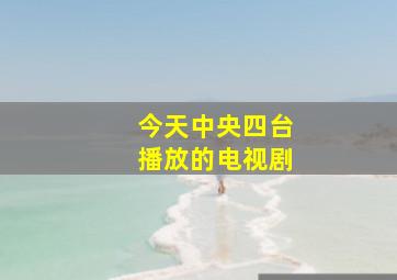 今天中央四台播放的电视剧