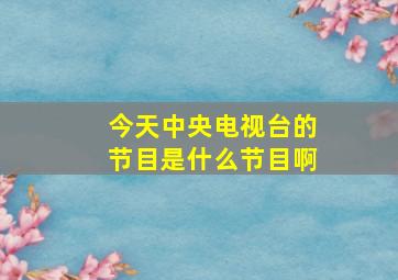 今天中央电视台的节目是什么节目啊