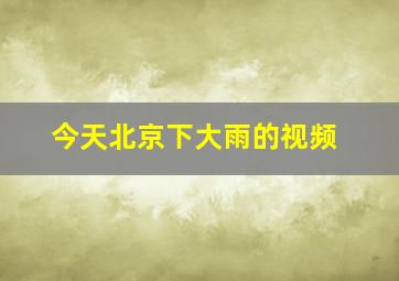 今天北京下大雨的视频