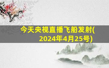 今天央视直播飞船发射(2024年4月25号)