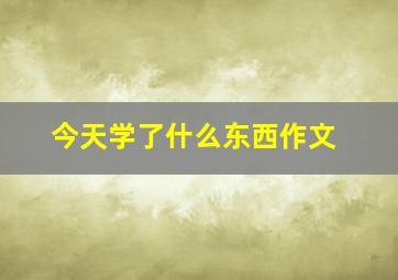 今天学了什么东西作文