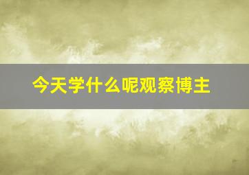 今天学什么呢观察博主