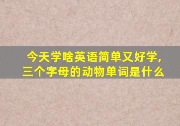 今天学啥英语简单又好学,三个字母的动物单词是什么