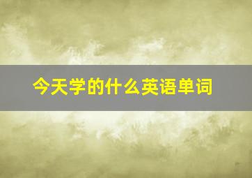 今天学的什么英语单词