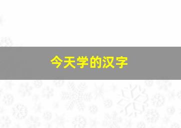 今天学的汉字