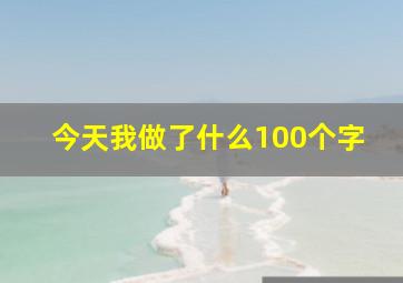 今天我做了什么100个字