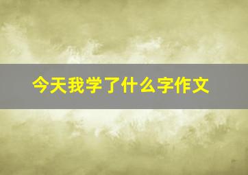 今天我学了什么字作文