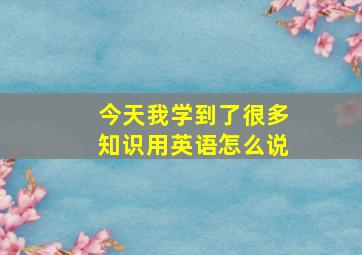 今天我学到了很多知识用英语怎么说