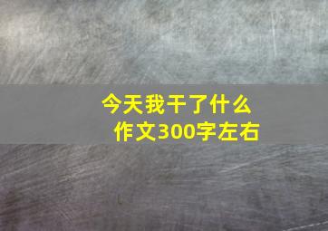 今天我干了什么作文300字左右