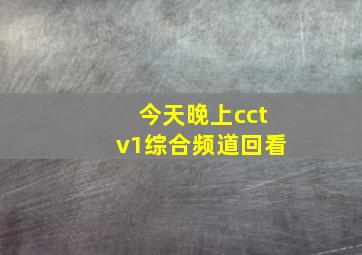 今天晚上cctv1综合频道回看