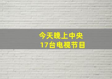 今天晚上中央17台电视节目