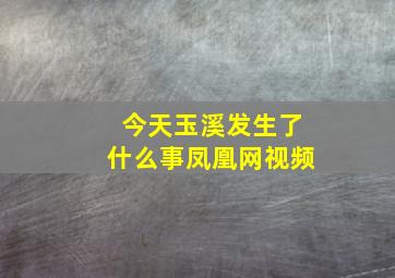 今天玉溪发生了什么事凤凰网视频