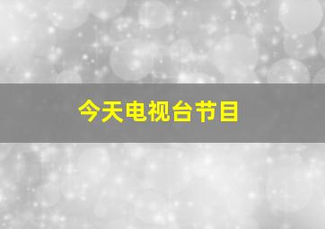 今天电视台节目