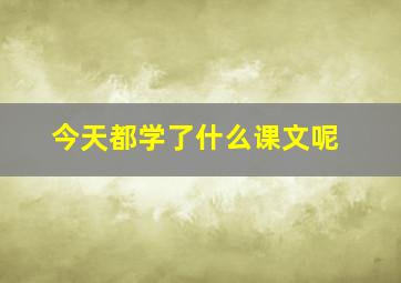 今天都学了什么课文呢