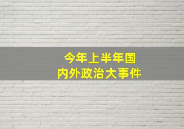 今年上半年国内外政治大事件