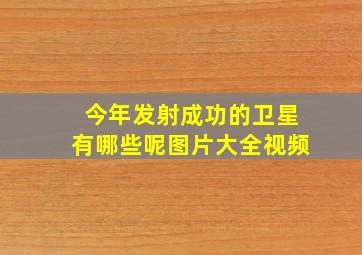 今年发射成功的卫星有哪些呢图片大全视频