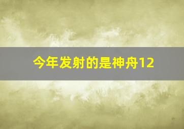 今年发射的是神舟12