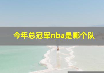 今年总冠军nba是哪个队