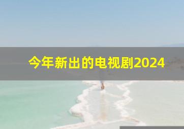 今年新出的电视剧2024