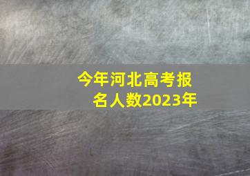 今年河北高考报名人数2023年