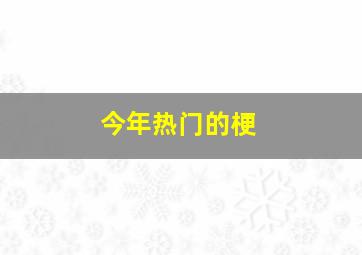 今年热门的梗