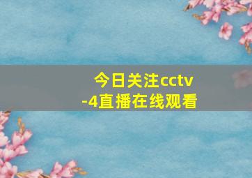 今日关注cctv-4直播在线观看