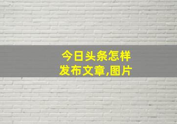 今日头条怎样发布文章,图片