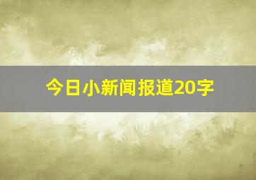 今日小新闻报道20字