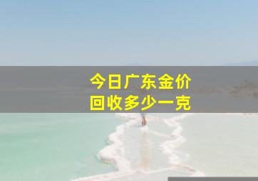 今日广东金价回收多少一克