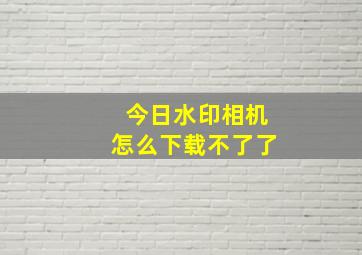 今日水印相机怎么下载不了了