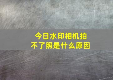 今日水印相机拍不了照是什么原因